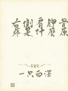 右侧肩胛骨下面疼是什么原因