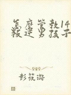 怎么管教14岁叛逆男孩子