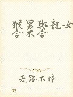 猴男与龙女属相合不合