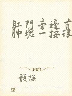 肛门旁边有个小肿块一按很疼封面