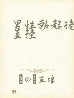 男性勃起后平均直径