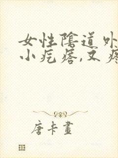 女性阴道外长了小疙瘩,又疼又又痒是什么