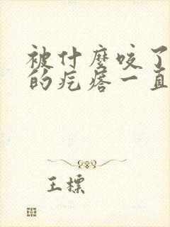 被什么咬了红红的疙瘩一直很痒封面