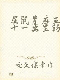 属鼠农历五月二十一出生的人命运封面