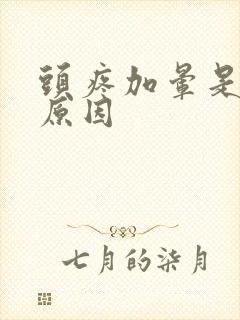 头疼加晕是什么原因