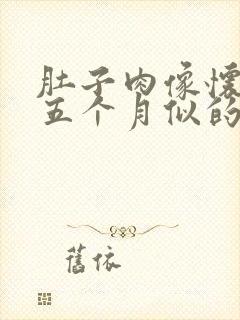 肚子肉像怀孕四五个月似的怎么减掉啊