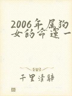 2006年属狗女的命运一生怎么样
