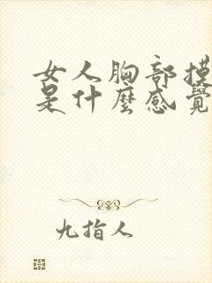 女人胸部摸起来是什么感觉