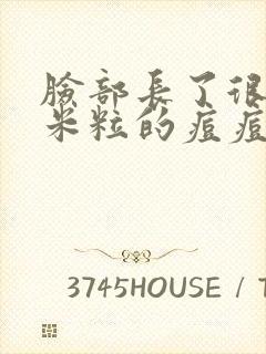 脸部长了很多小米粒的痘痘怎么治封面