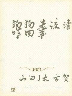 狗狗老流清鼻涕咋回事