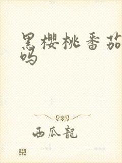 黑樱桃番茄好吃吗