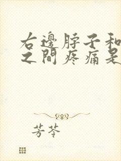 右边脖子和肩膀之间疼痛是怎么了