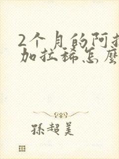 2个月的阿拉斯加拉稀怎么办