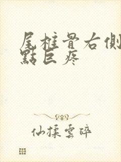 尾椎骨右侧一个点巨疼