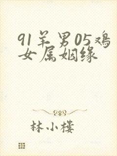 91羊男05鸡女属姻缘封面