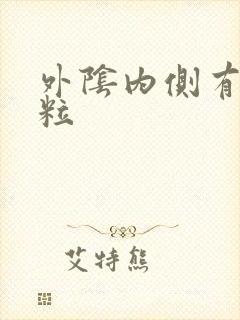 外阴内侧有小肉粒