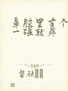 鼻腔里有个疙瘩一碰就疼