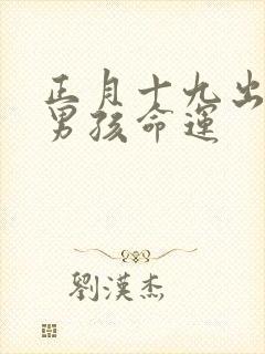 正月十九出生的男孩命运封面