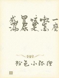 感冒咳嗽一咳就漏尿是怎么回事封面