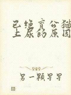 已绝育公猫在床上尿的原因