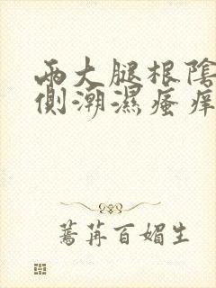 两大腿根阴囊两侧潮湿瘙痒