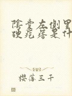 阴囊左侧里面有硬疙瘩是什么原因封面