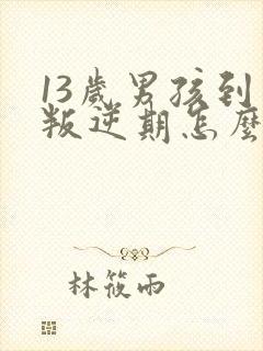 13岁男孩到了叛逆期怎么教