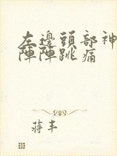 左边头部神经一阵阵跳痛封面