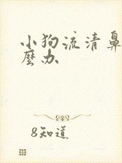 小狗流清鼻涕怎么办