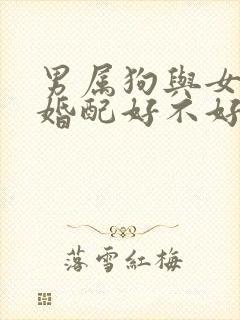 男属狗与女属马婚配好不好