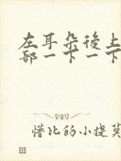 左耳朵后上方头部一下一下抽着疼