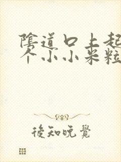 阴道口上起了一个小小米粒是怎么回事