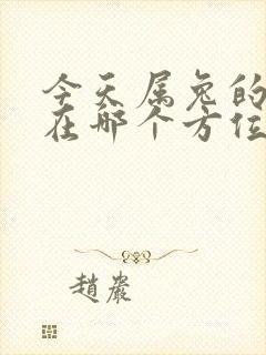 今天属兔的财运在哪个方位