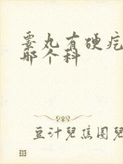 睾丸有硬疙瘩挂哪个科