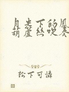 月光下的凤尾竹葫芦丝吹奏c调的歌谱