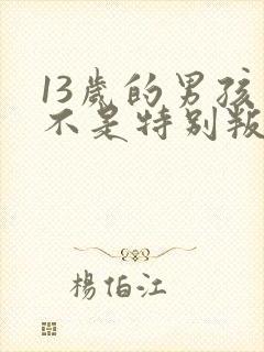 13岁的男孩是不是特别叛逆封面