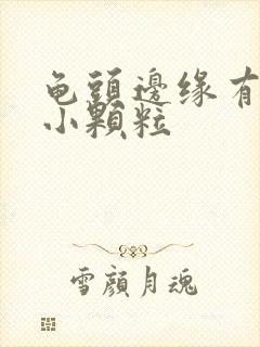 龟头边缘有几排小颗粒