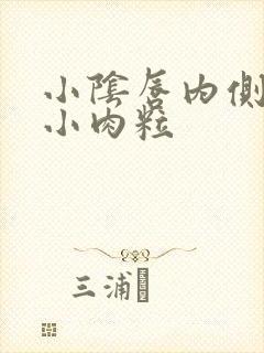 小阴唇内侧长了小肉粒封面