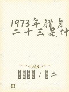 1973年腊月二十三是什么命