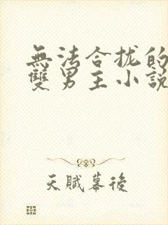 无法合拢的总裁双男主小说