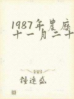1987年农历十一月二十
