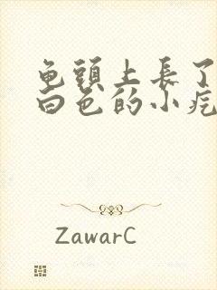 龟头上长了一些白色的小疙瘩封面