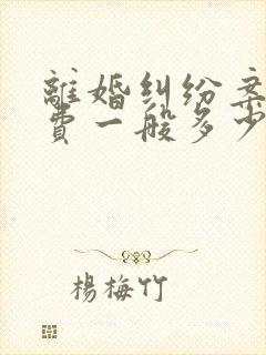 离婚纠纷案律师费一般多少封面