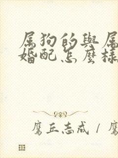 属狗的与属蛇的婚配怎么样