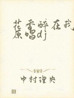 花香醉在我心间原唱dj