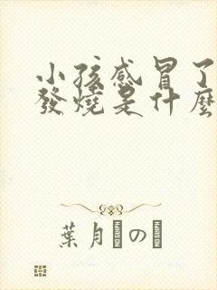 小孩感冒了反复发烧是什么原因封面