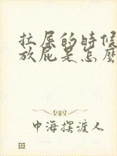 拉屎的时候老是放屁是怎么回事