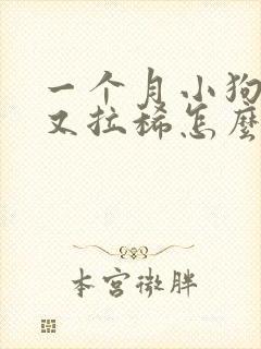 一个月小狗又吐又拉稀怎么办