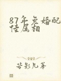 87年兔婚配最佳属相封面