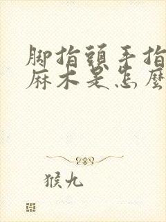 脚指头手指头发麻木是怎么回事封面